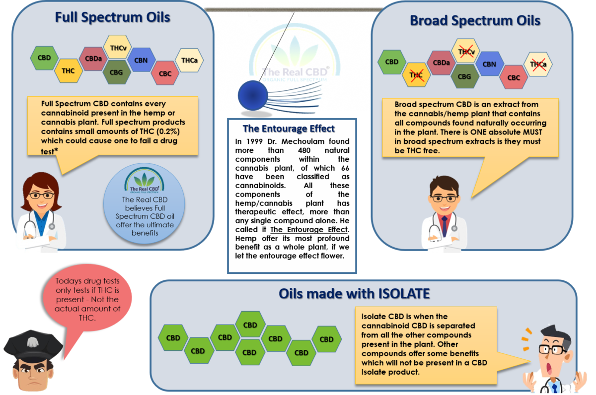 The-Real-CBD-infographic-full-spectrum-cbd-oil
