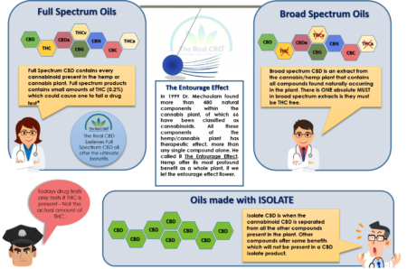 The-Real-CBD-infographic-full-spectrum-cbd-oil