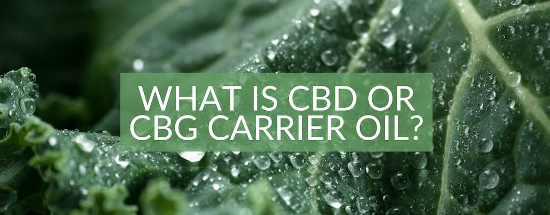 Qu'est-ce que l'huile de support CBD ou CBG ? The Real CBD