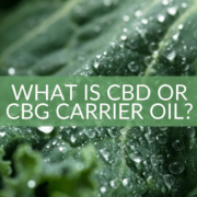 What is CBD or CBG carrier oil The Real CBD
