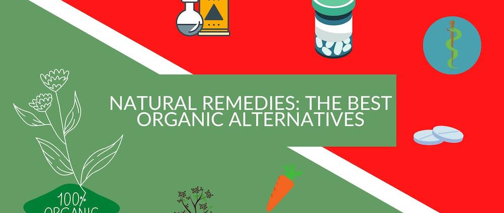 Remèdes naturels : Les meilleures alternatives biologiques