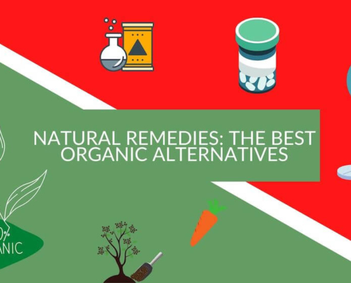 Remèdes naturels : Les meilleures alternatives biologiques