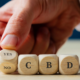 The-real-cbd-blog-cbd-for-muscle-dystrophy-what-you-ne-sait-pas