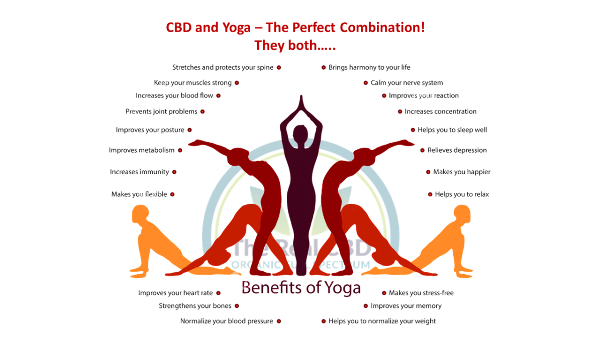 the-real-cbd-blog-yoga-and-cbd-oil-benefits