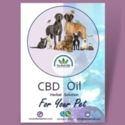 cbd oil for your pet