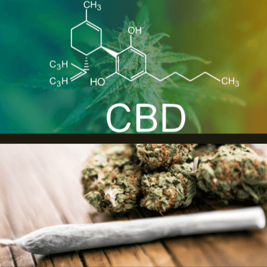 The-Real-CBD-Blog-CBD-is-not-the-same-as-Cannabis (en anglais)