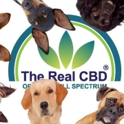 The-Real-CBD-Blog-kaufen-CBD-Öl-für-Hunde-in-Spanien-legal
