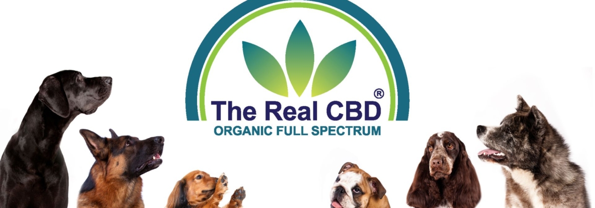 The Real CBD Buy CBD oil for dogs 1960x720