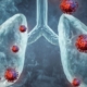 The-Real-CBD-Blog-CBD-Gummies-for-Lung-Disease