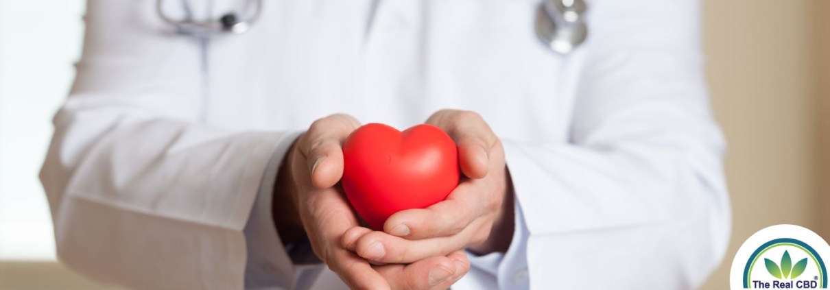 The-Real-CBD-Blog-CBd-and-cardiovascular-health