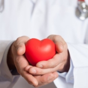 Der-Real-CBD-Blog-CBd-und-kardiovaskuläre-Gesundheit