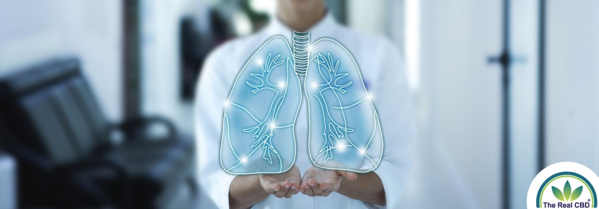 The Real CBD blog CBD for Bronchitis