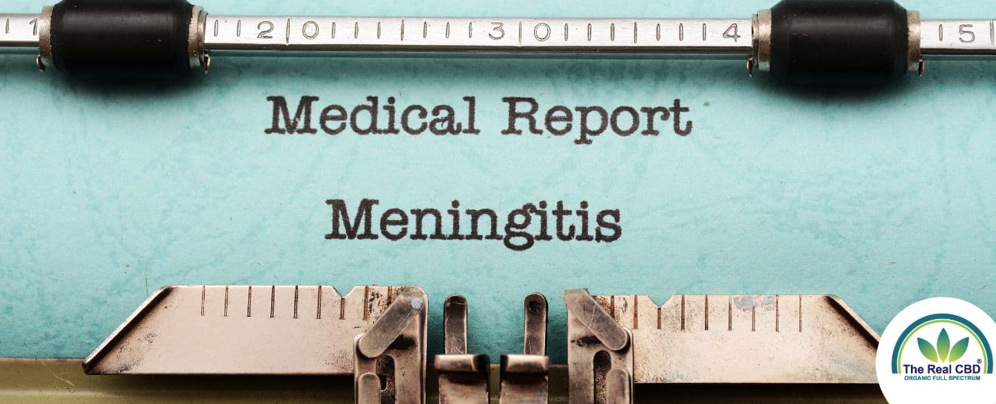 The Real CBD Blog CBD for meningitis
