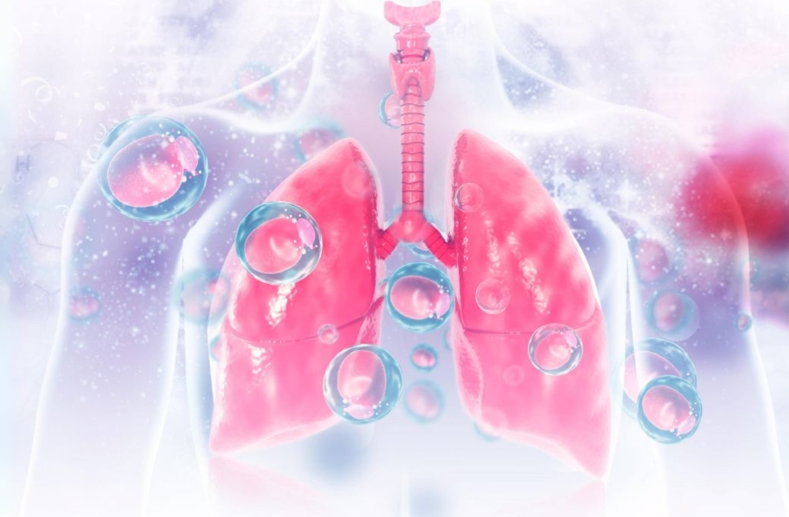 CBD for Lung Diseases: A Comprehensive Guide
