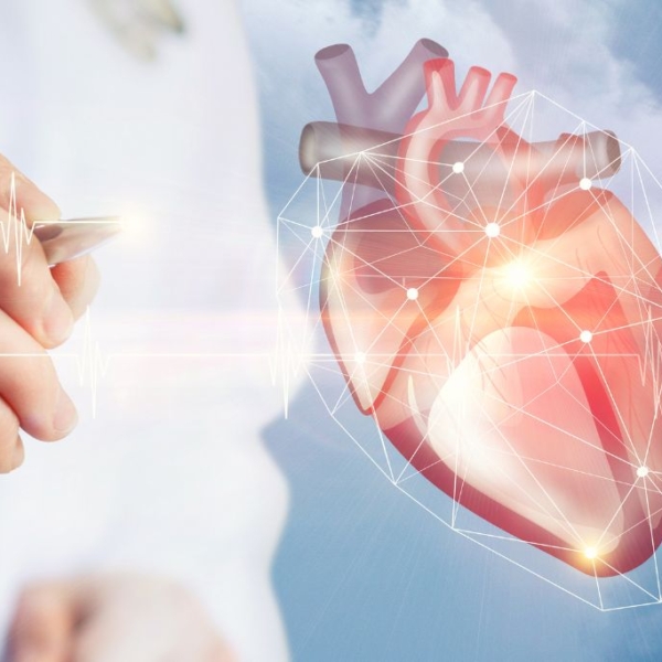 Is CBD safe for heart patients?