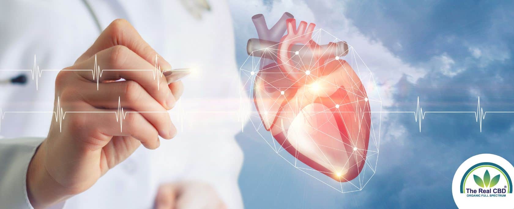 Is CBD safe for heart patients?