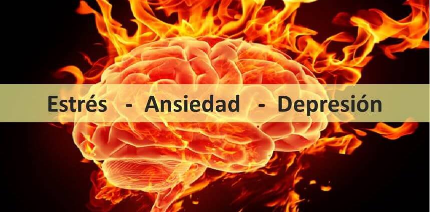 Cerebro en llamas