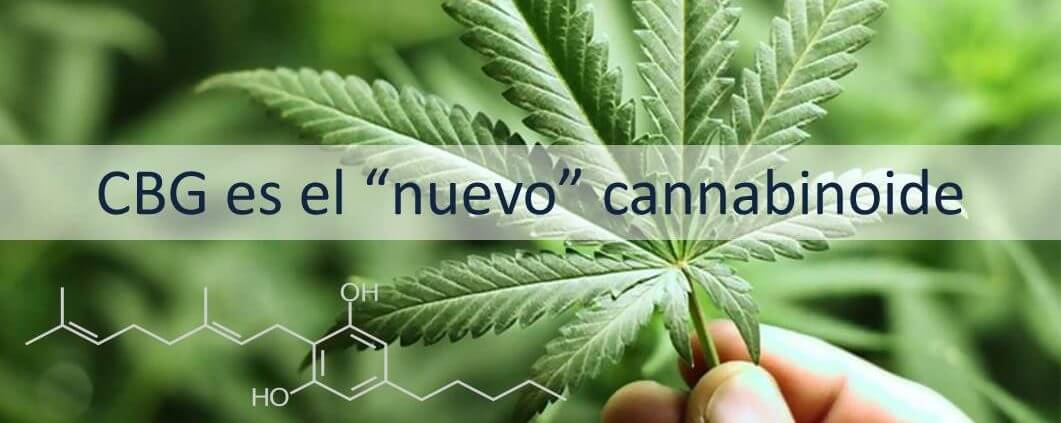 CBG el nuevo cannabinoide