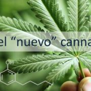 CBG-the-real-cbd-blog CBG el nuevo cannabinoide