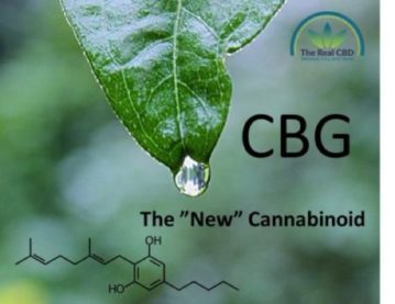 CBG