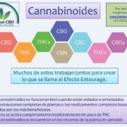 Cannabinoids ES