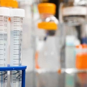 El Aceite CBD y Pruebas de Drogas Varios virales de pruebas de drogas