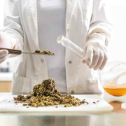 Técnico de laboratorio recogiendo biomasa de cáñamo en un viral