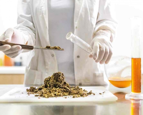 Técnico de laboratorio recogiendo biomasa de cáñamo en un viral