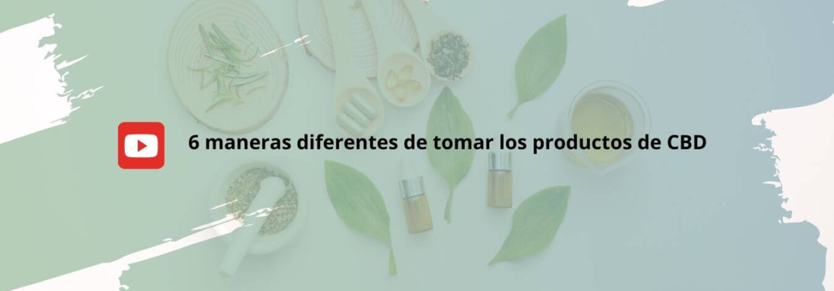 Ilustración de 6 maneras diferentes tomar productos CBD