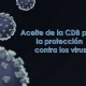 ¿Puede la CBD estimular tu sistema inmunológico?