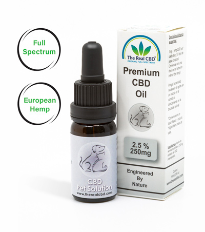 2.5% CBD para Mascotas