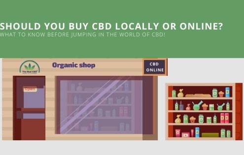 Caricatura de la fachada de una tienda de productos ecológicos