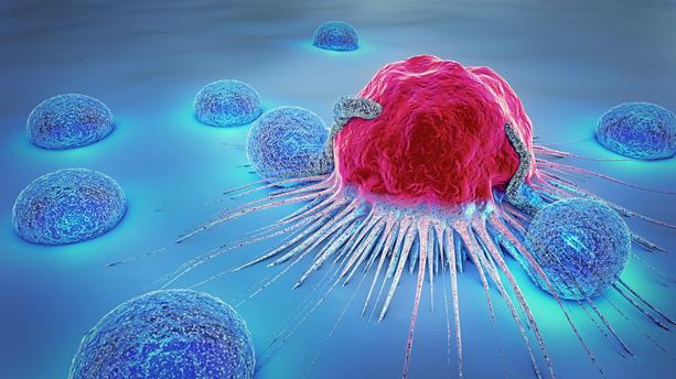 the-real-cbd-blog-cbd-para-cancer