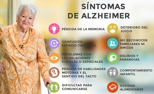 the-real-cbd-blog-sintomas-de-alzheimer-y-otras-demencias