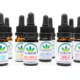 Primer plano de varios frascos de CBD - The Real CBD marca
