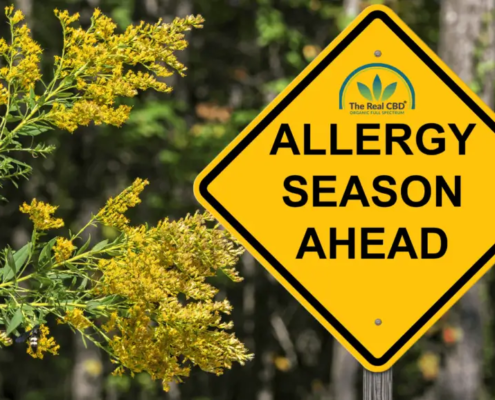 Temporada de alergias por delante señal de tráfico mi un árbol de Mimosa
