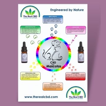 The Real beneficios del CBD para las mascotas