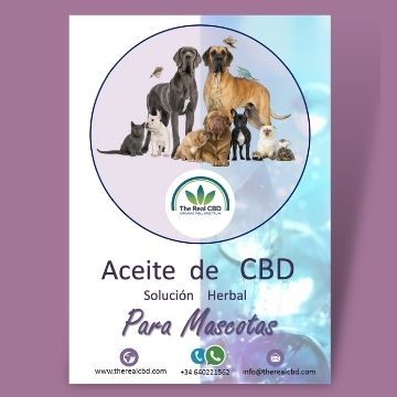 mascotas y los beneficios de cbd