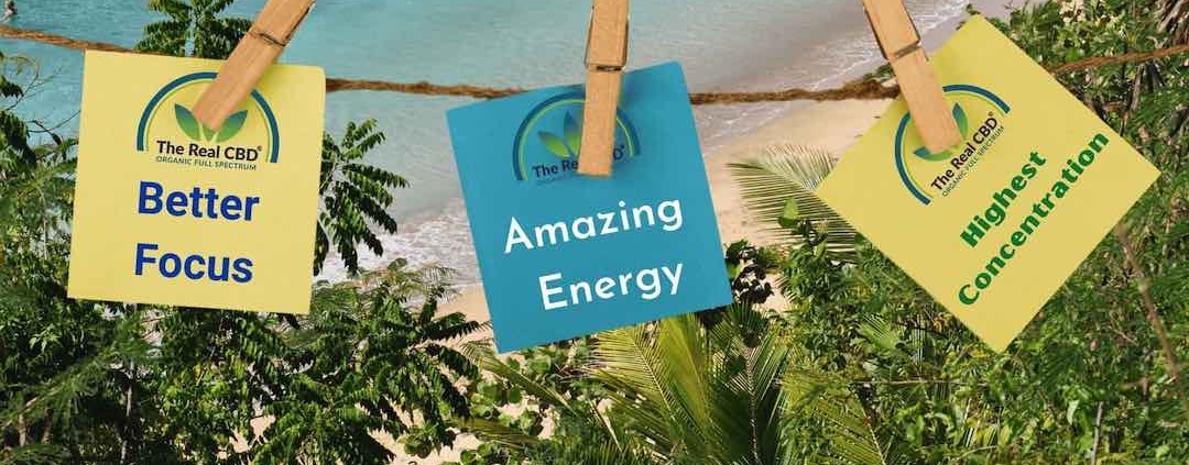 MEJOR ENFOQUE - ENERGÍA ASOMBROSA - ALTA CONCENTRACIÓN en notas post-it en una cuerda sobre la playa