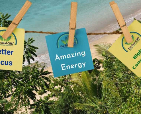 MEJOR ENFOQUE - ENERGÍA ASOMBROSA - ALTA CONCENTRACIÓN en notas post-it en una cuerda sobre la playa