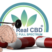 The-Real-CBD-Nootropicos El cerebro de dibujos animados se ejercita con cápsulas y aceite de CBD