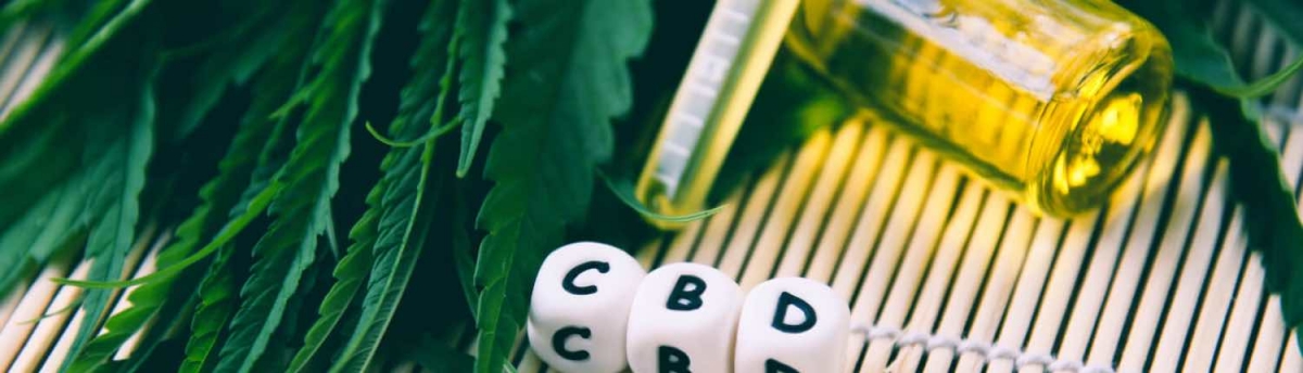 Aceite de CBD vs. Aceite de semilla de cáñamo