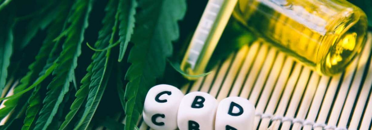 CBD dice, CBD oil and hemp leaves on a bamboo roll