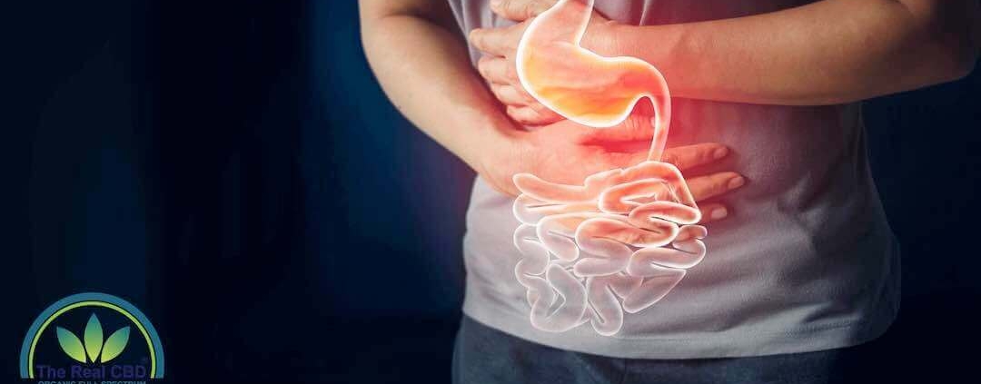 CBD la mejor solución para las enfermedades gastrointestinales