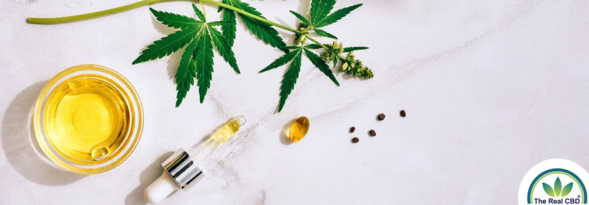 Aceite de CBD y cápsula de CBD con una hoja de cáñamo
