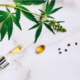 Aceite de CBD y cápsula de CBD con una hoja de cáñamo