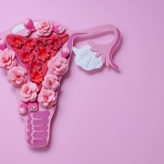 The-Real-CBD-blog-CBD-para-los-fibromas Útero en papel rosa