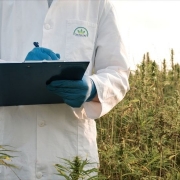 El verdadero científico del CBD con un portapapeles en un campo de cáñamo