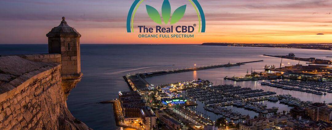 Vista de la ciudad de Alicante