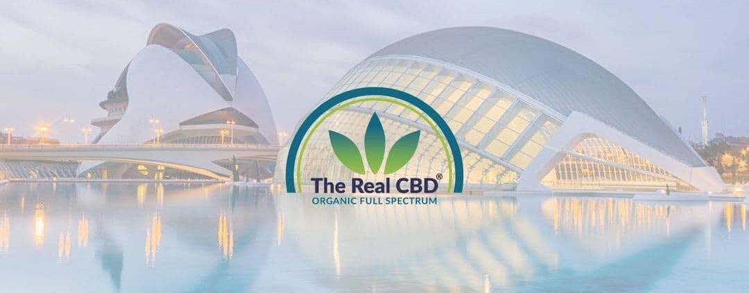 Vista de la ciudad de Valencia